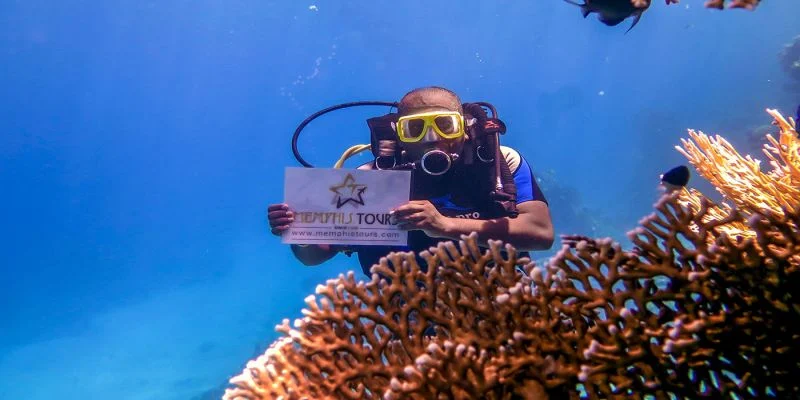 Pyramids, Nile & Hurghada